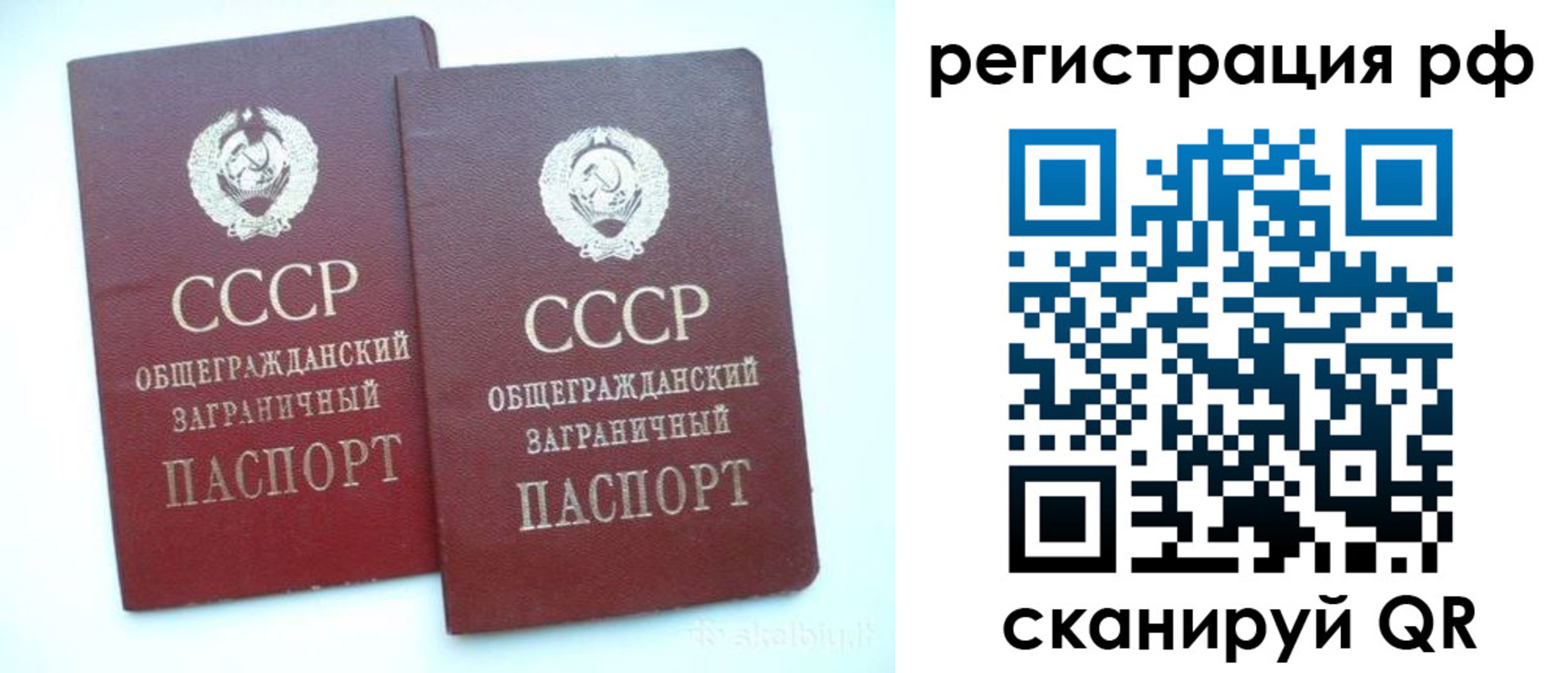 временная регистрация госуслуги в Московской области